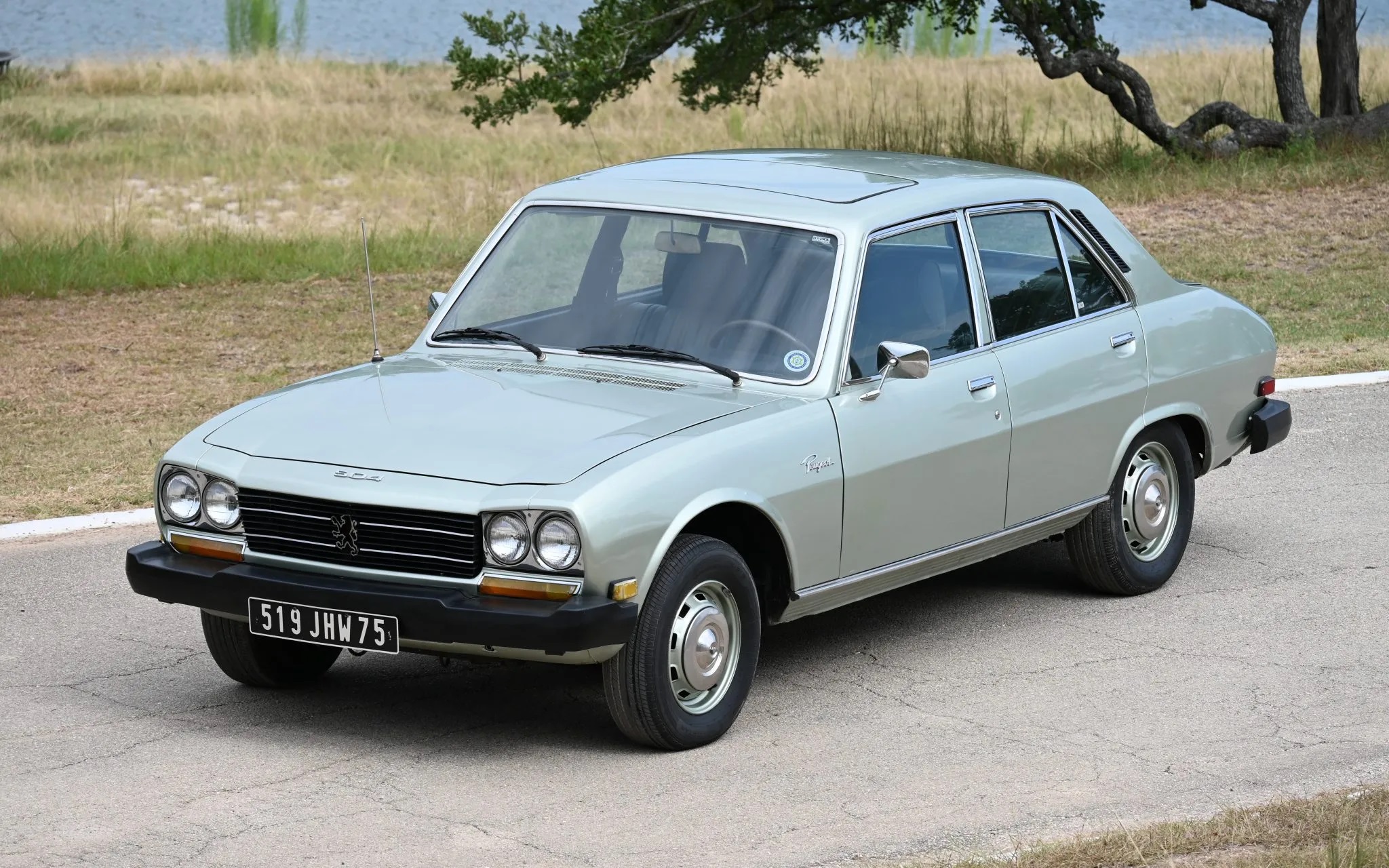 Image of Peugeot 504